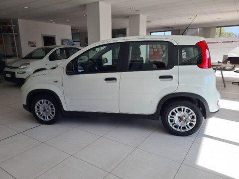 Auto Fiat Panda 1.0 Firefly S&S Hybrid My24 Nuove Pronta Consegna A Lecco