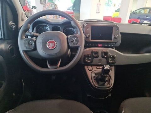 Auto Fiat Panda Cross 1.0 Firefly S&S Hybrid Usate A Lecco