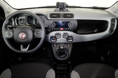 Auto Fiat Panda Iii 2021 4X4 0.9 T.air T. Wild 4X4 S&S 85Cv 5P.ti Usate A Torino