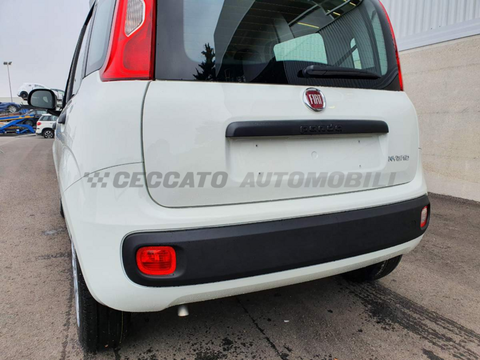 Auto Fiat Panda My21 1.0 70Cv Hybrid Panda Usate A Padova