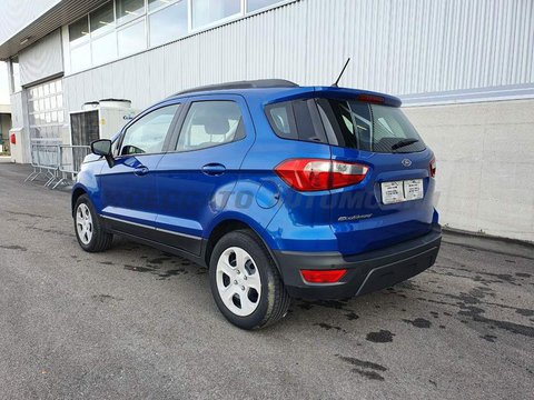 Auto Ford Ecosport 2018 1.0 Ecoboost Plus 100Cv Usate A Treviso