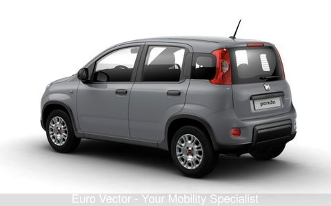 Auto Fiat Panda 1.0 Firefly S&S Hybrid Usate A Foggia