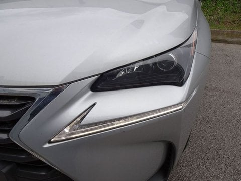 Auto Lexus Nx Nx Hybrid 4Wd Executive Usate A Treviso