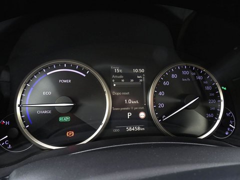 Auto Lexus Nx Hybrid 4Wd Premium Usate A Treviso