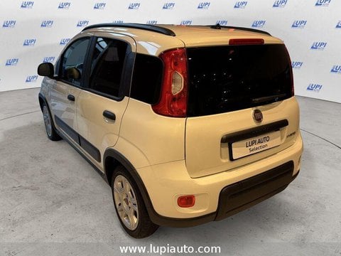 Auto Usate A Pistoia | Fiat Panda 1.0 Firefly Hybrid City Life S&S 70Cv 5P.ti