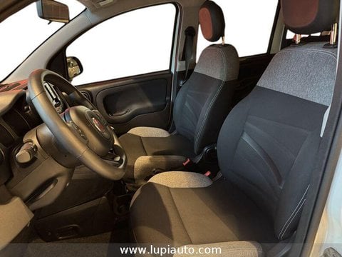 Auto Usate A Pistoia | Fiat Panda 1.0 Firefly Hybrid City Life S&S 70Cv 5P.ti