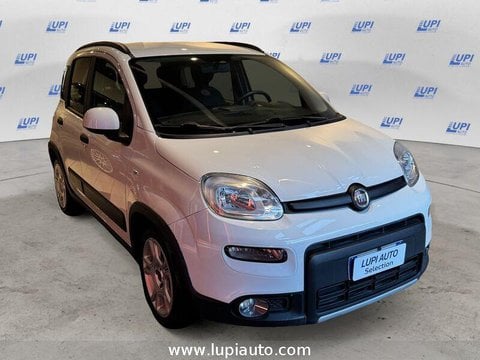 Auto Usate A Pistoia | Fiat Panda 1.0 Firefly Hybrid City Life S&S 70Cv 5P.ti
