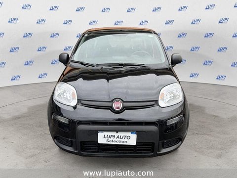 Auto Usate A Pistoia | Fiat Panda 1.0 Firefly Hybrid S&S 70Cv 5P.ti
