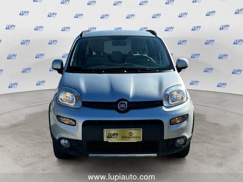 Auto Fiat Panda 1.3 Mjt 16V 4X4 75Cv Usate A Firenze