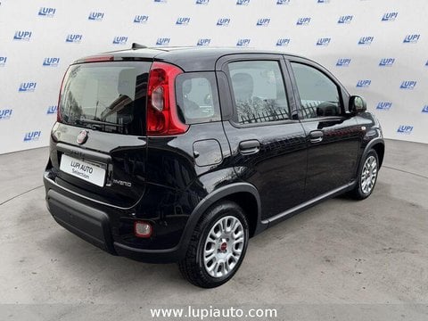 Auto Usate A Pistoia | Fiat Panda 1.0 Firefly Hybrid S&S 70Cv 5P.ti