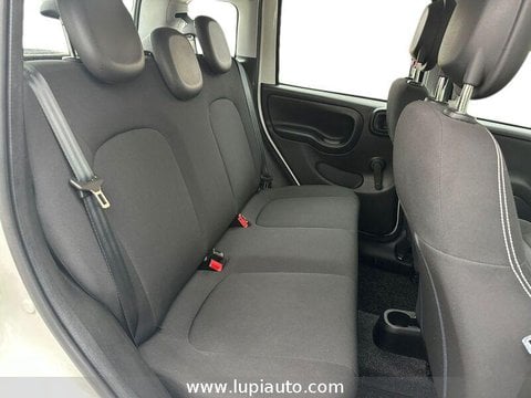 Auto Usate A Pistoia | Fiat Panda 1.0 Firefly Hybrid S&S 70Cv 5P.ti