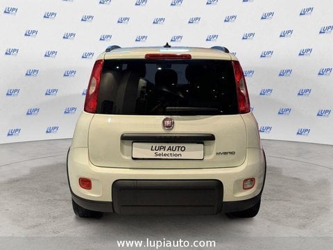 Auto Usate A Pistoia | Fiat Panda 1.0 Firefly Hybrid City Life S&S 70Cv 5P.ti