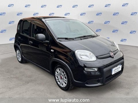 Auto Usate A Pistoia | Fiat Panda 1.0 Firefly Hybrid S&S 70Cv 5P.ti