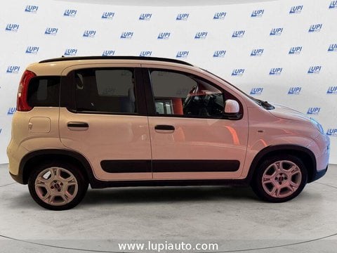 Auto Usate A Pistoia | Fiat Panda 1.0 Firefly Hybrid City Life S&S 70Cv 5P.ti