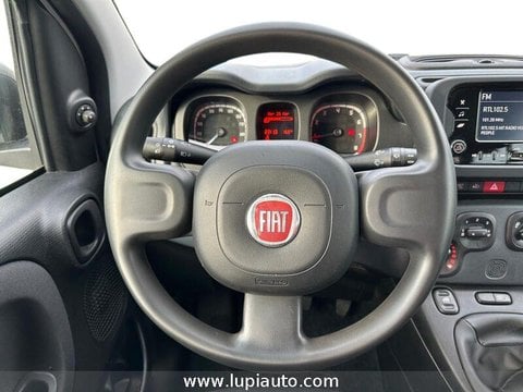 Auto Usate A Lucca | Fiat Panda 1.0 Firefly Hybrid S&S 70Cv 5P.ti