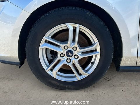 Auto Usate A Pistoia | Ford Focus 1.0 Ecoboost 125Cv S&S Business St Line