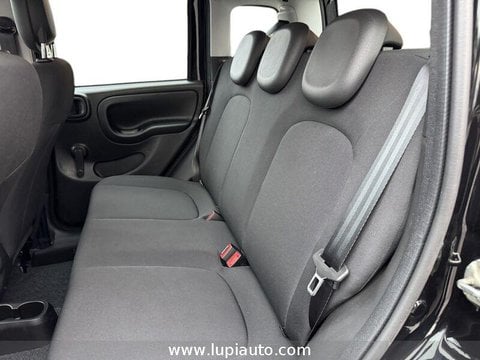 Auto Usate A Pistoia | Fiat Panda 1.0 Firefly Hybrid S&S 70Cv 5P.ti