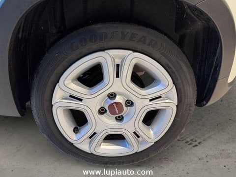 Auto Usate A Pistoia | Fiat Panda 1.0 Firefly Hybrid City Life S&S 70Cv 5P.ti