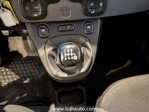 Auto Usate A Pistoia | Fiat Panda 1.0 Firefly Hybrid City Life S&S 70Cv 5P.ti