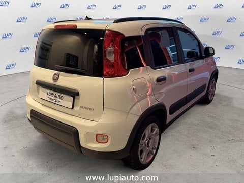 Auto Usate A Pistoia | Fiat Panda 1.0 Firefly Hybrid City Life S&S 70Cv 5P.ti