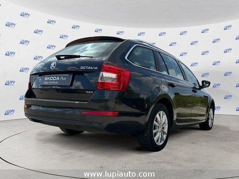 Auto Usate A Pistoia | Škoda Octavia Wagon 1.6 Tdi Cr Ambition 4X4 110Cv