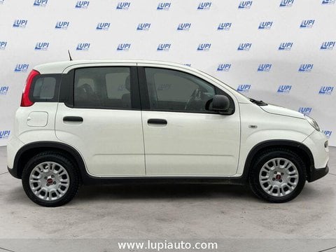 Auto Usate A Pistoia | Fiat Panda 1.0 Firefly Hybrid S&S 70Cv 5P.ti
