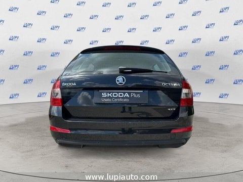Auto Usate A Pistoia | Škoda Octavia Wagon 1.6 Tdi Cr Ambition 4X4 110Cv