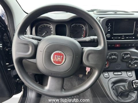 Auto Usate A Pistoia | Fiat Panda 1.0 Firefly Hybrid S&S 70Cv 5P.ti