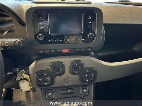 Auto Usate A Pistoia | Fiat Panda 1.0 Firefly Hybrid City Life S&S 70Cv 5P.ti