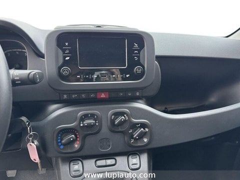 Auto Usate A Pistoia | Fiat Panda 1.0 Firefly Hybrid S&S 70Cv 5P.ti