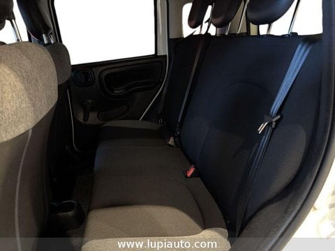 Auto Usate A Pistoia | Fiat Panda 1.0 Firefly Hybrid City Life S&S 70Cv 5P.ti