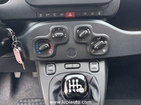 Auto Usate A Pistoia | Fiat Panda 1.0 Firefly Hybrid S&S 70Cv 5P.ti