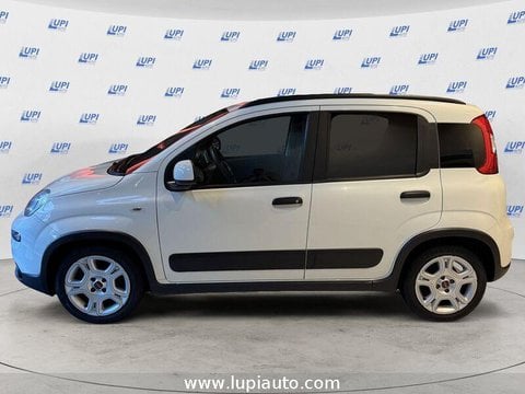 Auto Usate A Pistoia | Fiat Panda 1.0 Firefly Hybrid City Life S&S 70Cv 5P.ti