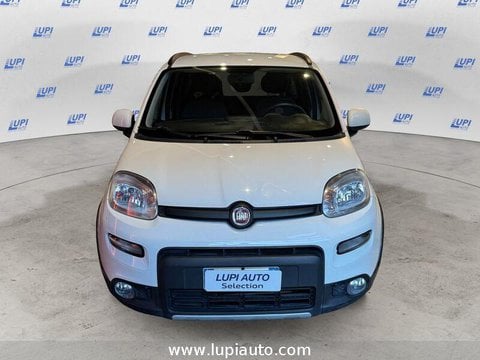 Auto Usate A Pistoia | Fiat Panda 1.0 Firefly Hybrid City Life S&S 70Cv 5P.ti