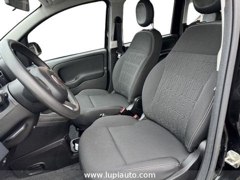 Auto Usate A Pistoia | Fiat Panda 1.0 Firefly Hybrid S&S 70Cv 5P.ti