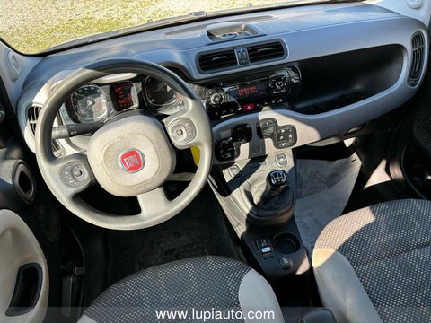 Auto Fiat Panda 1.3 Mjt 16V 4X4 75Cv Usate A Firenze