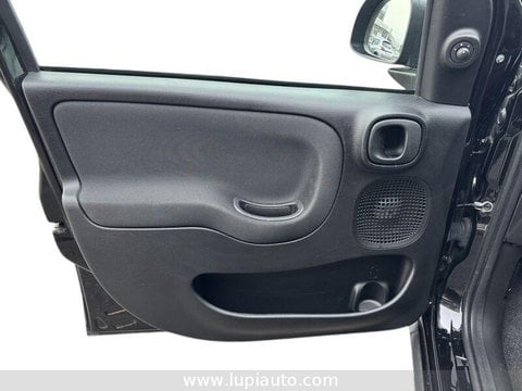 Auto Usate A Pistoia | Fiat Panda 1.0 Firefly Hybrid S&S 70Cv 5P.ti