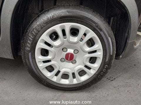 Auto Usate A Pistoia | Fiat Panda 1.0 Firefly Hybrid S&S 70Cv 5P.ti