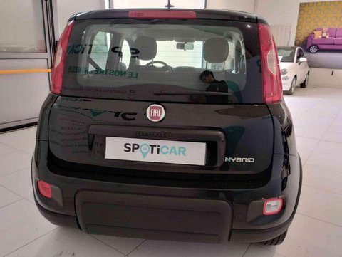 Auto Fiat Panda 1.0 Firefly S&S Hybrid Usate A Bologna