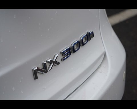 Auto Lexus Nx 1ª Serie Hybrid 4Wd Executive Usate A Treviso