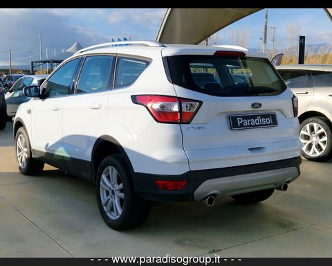 Auto Ford Kuga 2ª Serie 2.0 Tdci 120 Cv S&S 2Wd Powershift Business Usate A Catanzaro
