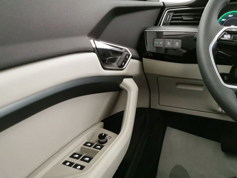 Auto Audi Q8 E-Tron 55 Quattro Usate A Chieti