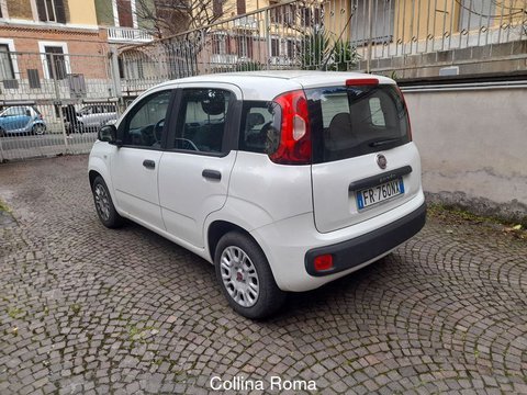 Auto Fiat Panda 1.2 Easypower Easy Usate A Roma