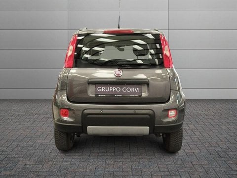 Auto Usate A Roma | Fiat Panda 1.3 Mjt 95Cv S&S E6 4X4