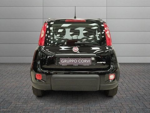Auto Usate A Roma | Fiat Panda 1.0 Firefly 70Cv S&S Hybrid City Cross