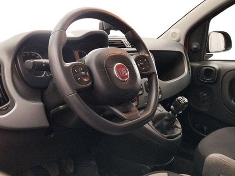 Auto Usate A Roma | Fiat Panda 1.0 Firefly 70Cv S&S Hybrid City Life