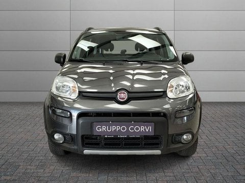Auto Usate A Roma | Fiat Panda 1.3 Mjt 95Cv S&S E6 4X4