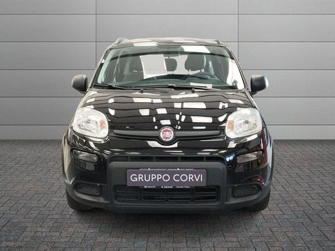 Auto Usate A Roma | Fiat Panda 1.0 Firefly 70Cv S&S Hybrid City Cross