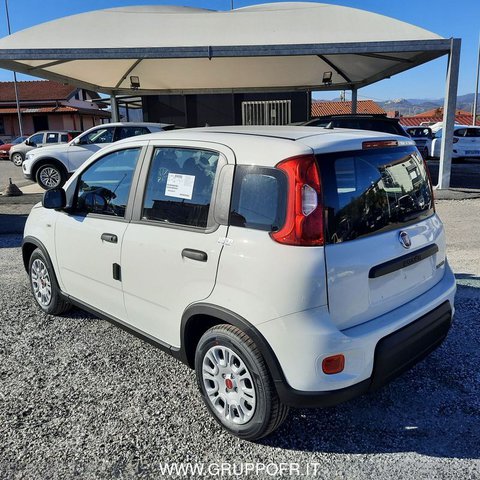Auto Fiat Panda My24 1.0 70Cv Hybrid Panda Km0 A La Spezia