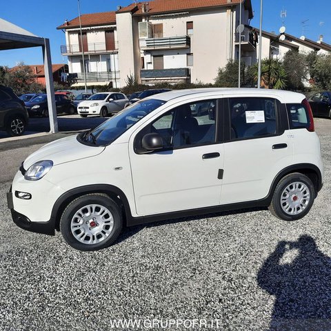 Auto Fiat Panda 1.0 70Cv Hybrid Panda Km0 A La Spezia